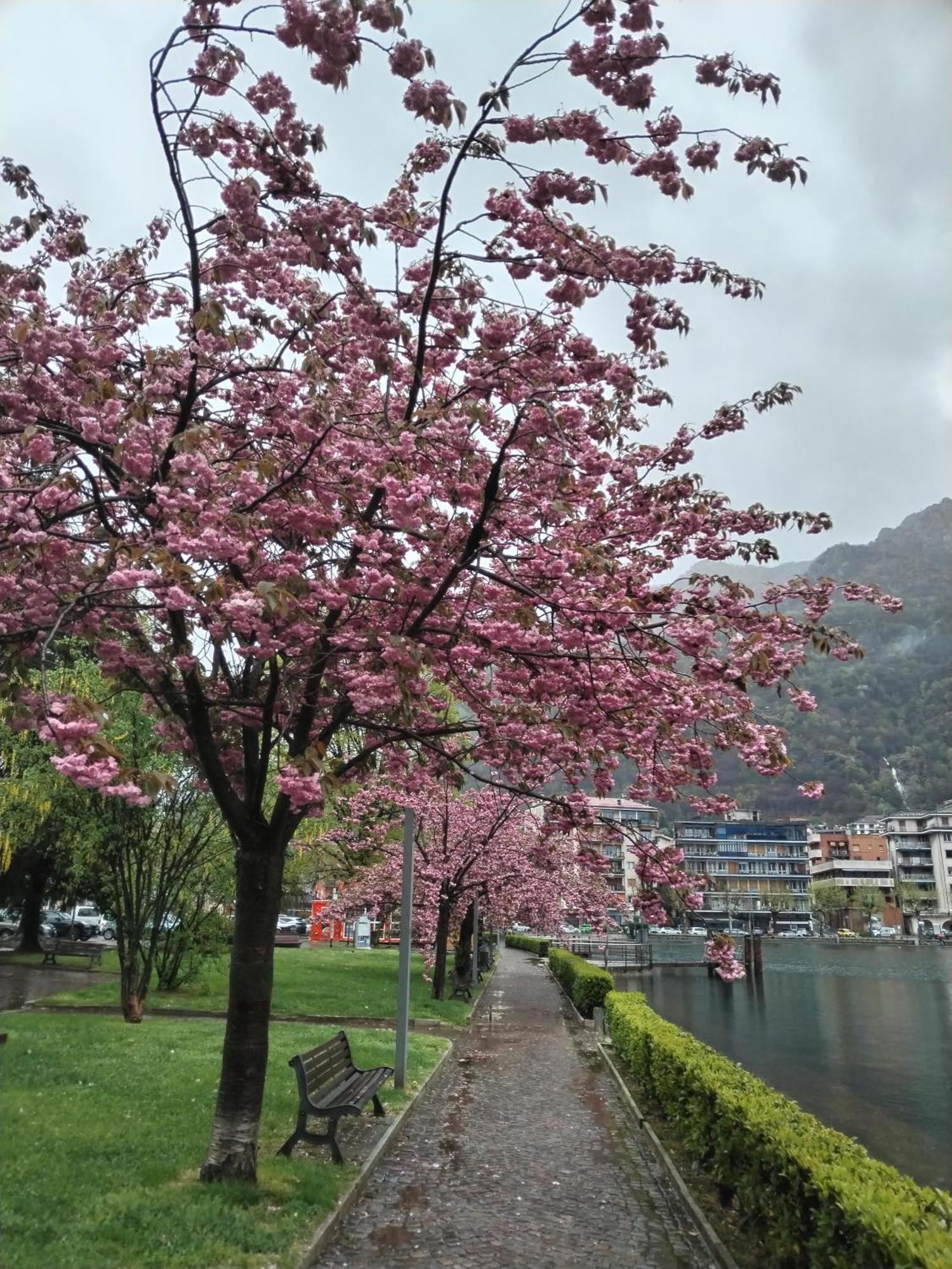 Un Balcone Sul Lago Omegna Luaran gambar
