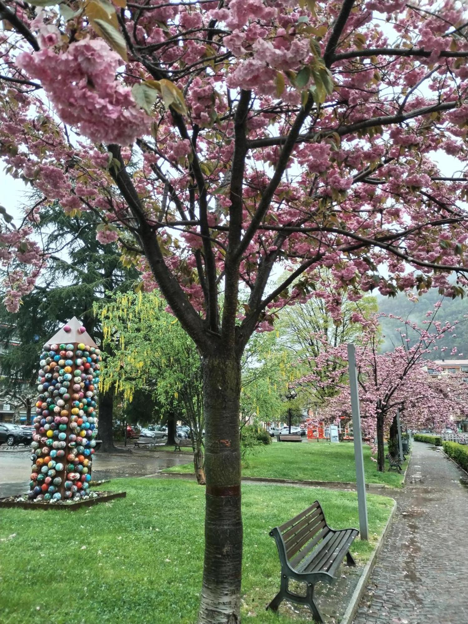 Un Balcone Sul Lago Omegna Luaran gambar